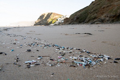 Beach Strandline microplastics
